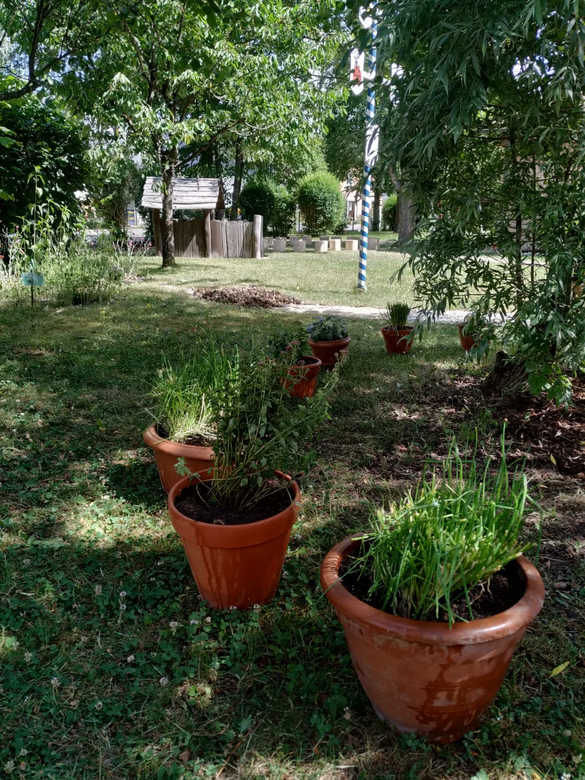 Gartenaktion