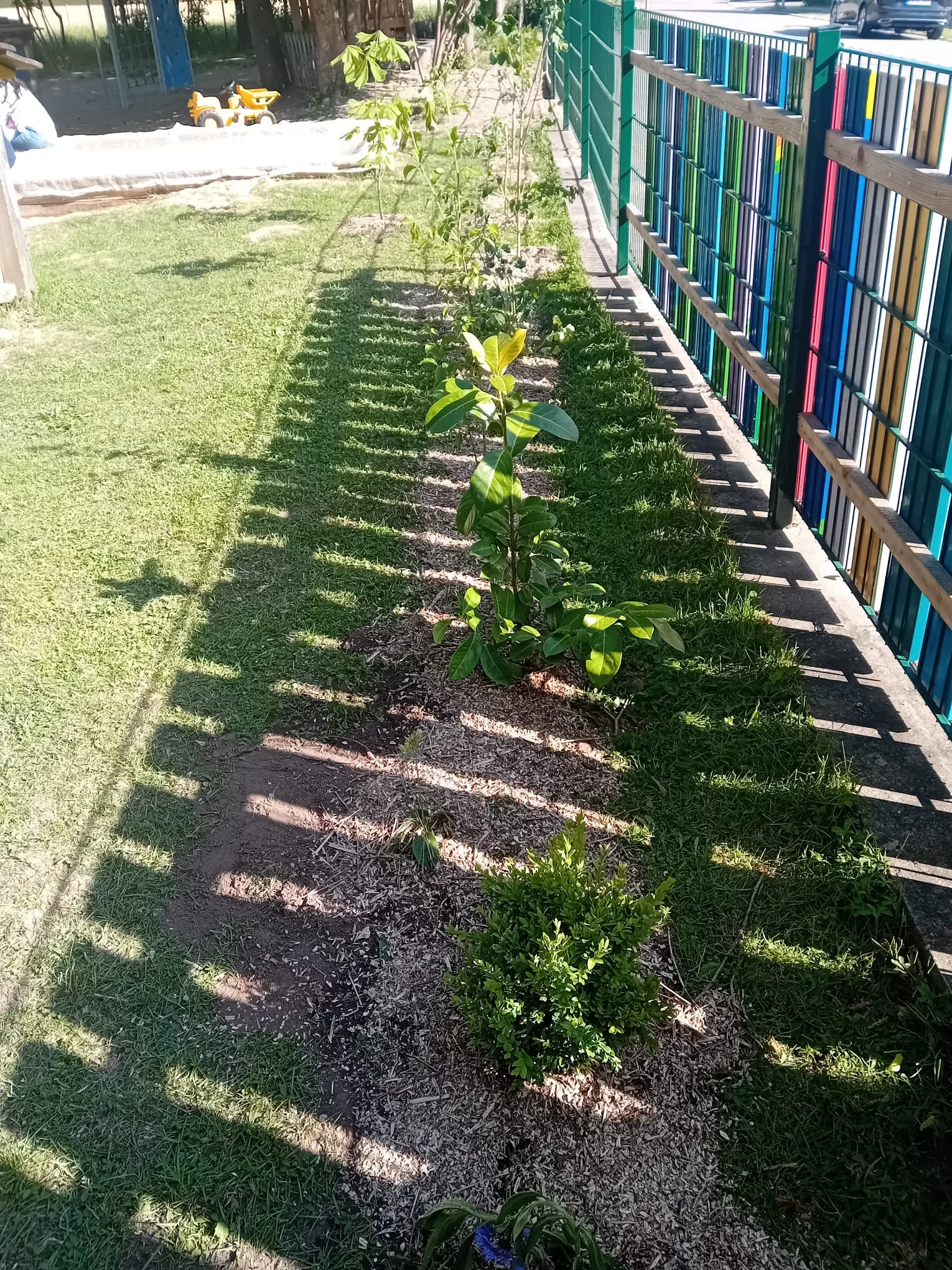 Gartenaktion