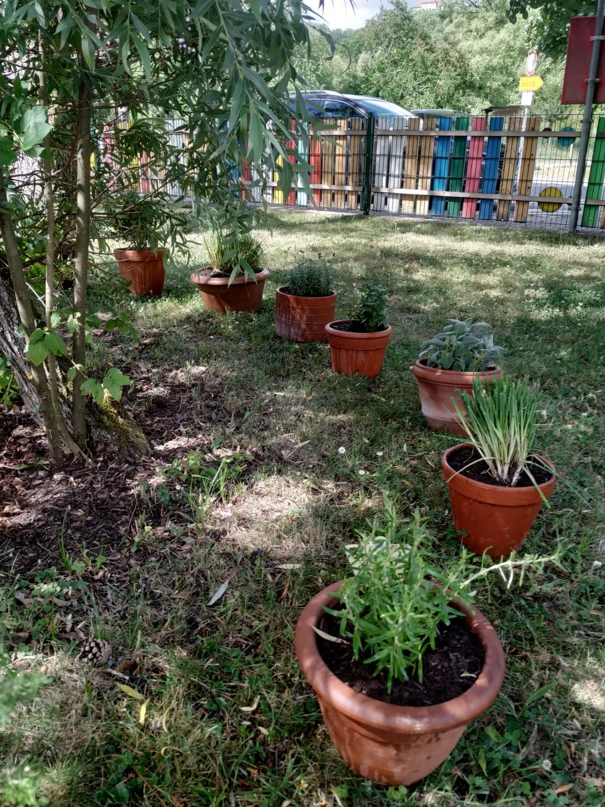 Gartenaktion