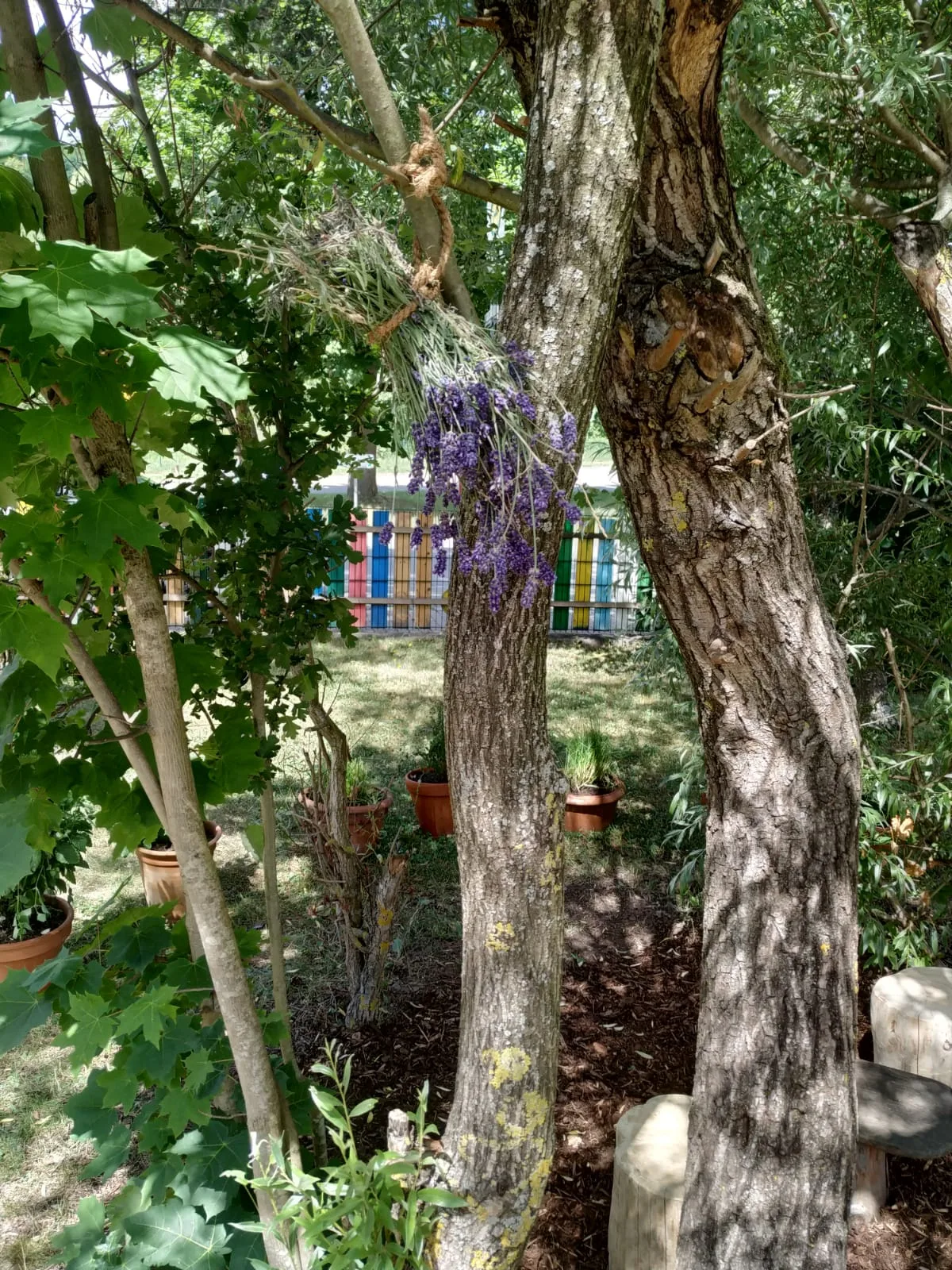 Gartenaktion